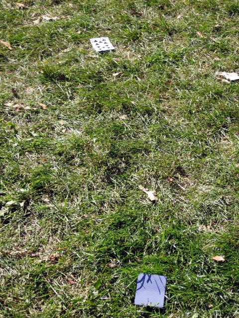 cards on the grass