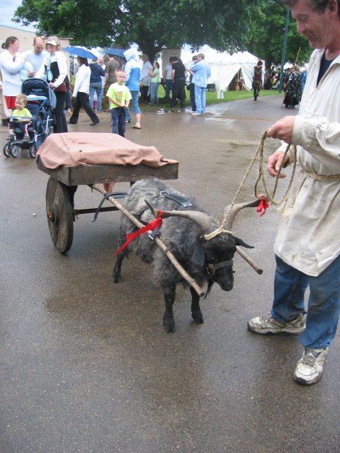 goat and cart