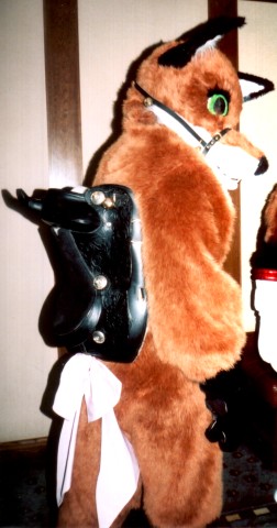 Fox with saddle