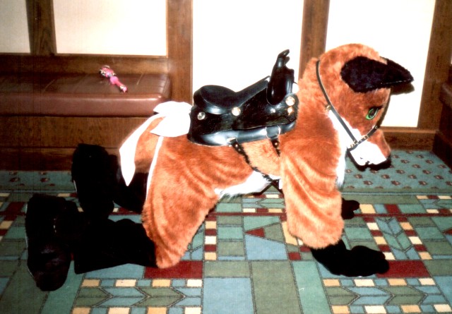 Fox with saddle on all fours